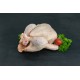 COQUELET - 500 gr